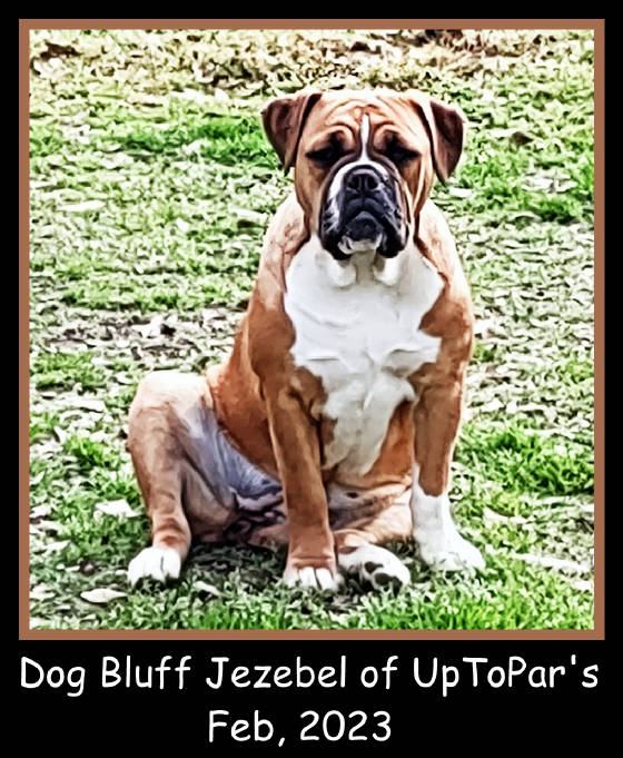 jezebelfeb2023.jpg