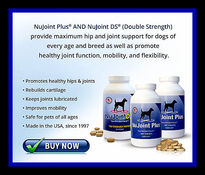 NuVet NuJoint Best Supplements Available