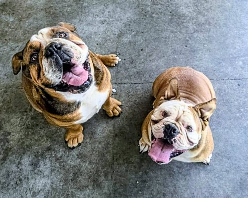 Amos & Freedom, smiling