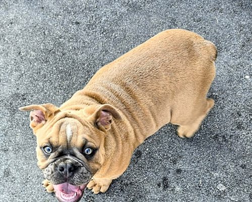 SallySmiling