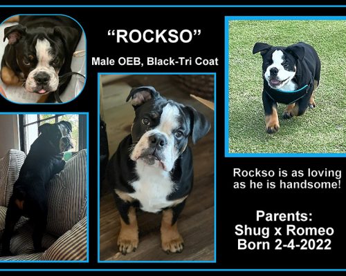 p2991Rockso